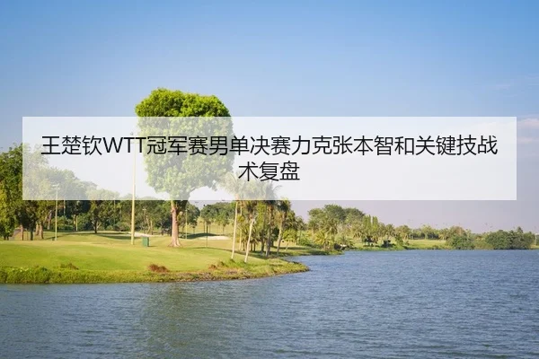 王楚钦WTT冠军赛男单决赛力克张本智和关键技战术复盘